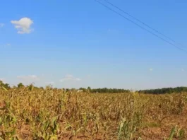 Mga Lalawigan sa Region-10, Gi-advisory sa Epekto sa Dry Condition ug Dry Spell