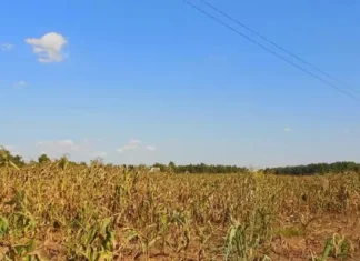 Mga Lalawigan sa Region-10, Gi-advisory sa Epekto sa Dry Condition ug Dry Spell