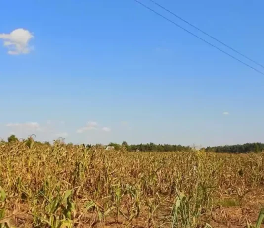 Mga Lalawigan sa Region-10, Gi-advisory sa Epekto sa Dry Condition ug Dry Spell