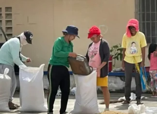 Contingency plan batok sa super El Niño sa dakbayan, gipahugtan sa CDRRMD
