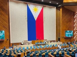 Klarong prayoridad sa sunod nga pondo sa nasud, gipangayo sa usa ka legal expert