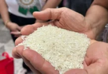 Sapat na suplay ng bigas sa gitna ng banta ng Super El Niño, tiniyak ng National Food Authority Region 10