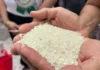 Sufficient ug igong supply sa bugas taliwala sa hulga sa Super El Niño, gipasalig sa National Food Authority Region 10