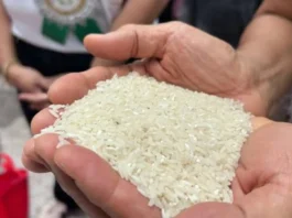 Sufficient ug igong supply sa bugas taliwala sa hulga sa Super El Niño, gipasalig sa National Food Authority Region 10