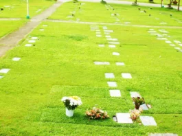 Koordinasyon sa koleksyon sa basura ug gidili nga overnight sa minteryo, gipatuman sa CLENRO!
