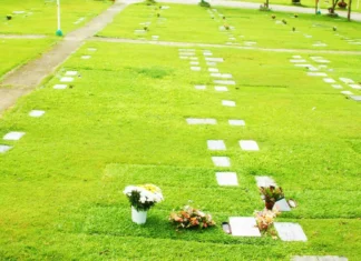 Koordinasyon sa koleksyon sa basura ug gidili nga overnight sa minteryo, gipatuman sa CLENRO!