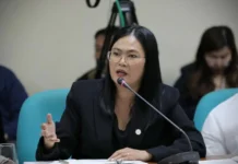 Sison, wala mi-angay sa pagbakwi sa 3 reklamo vs VP