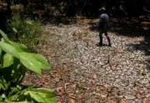 Plano sa gobyerno sa Super El Niño, gisaway sa mga mag-uuma