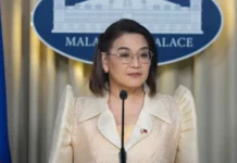 Usec Castro: Kinahanglan imbestigaran ang mga nasud nga naghatag business ug political funds sa Ph
