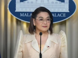 Usec Castro: Kinahanglan imbestigaran ang mga nasud nga naghatag business ug political funds sa Ph