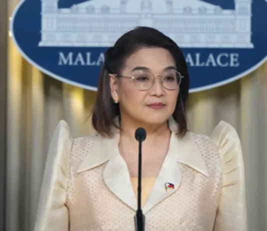Usec Castro: Kinahanglan imbestigaran ang mga nasud nga naghatag business ug political funds sa Ph