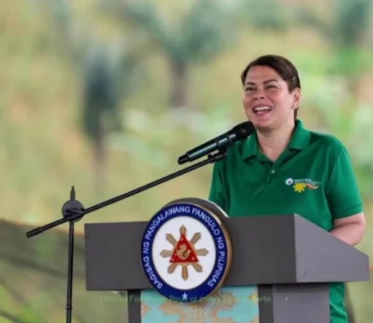 Paghaharap sa impeachment trial ni VP Sara, ipinanawagan ng isang propesor