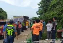 Cebu City Risk Reduction Management Offive ug Department of Veterinary Medicine and Fisheries gisusi pagbalik ang giabandonar sa usa ka rescue house