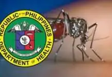 DOH nakatala og kapin sa 3,700 ka kaso sa dengue sa Central Visayas