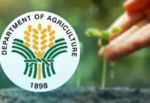 Coconut Summit, gipahigayon sa labing unang higayun sa Central Visayas
