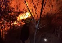 Sunog sa Kalasangan sa lungsod sa Oslob, miigo sa upat ka barangay; 15 ka mga panimalay, naugdaw sa Toledo City