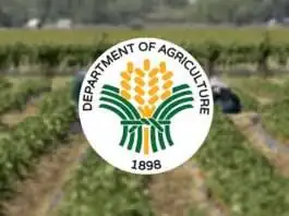 Department of Agriculture, pabor sa deklarasyon sa State of Calamity batok sa epekto sa El Niño