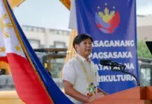 Inisyatiba sa Marcos administrasyon aron mapausbaw ang Produksyon sa mga mag-uuma, gisuportahan ni Speaker Romualdez