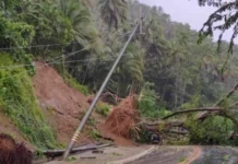 Kantidad sa kadaot nga gibilin sa STS Kristine sa power sector, kapin na sa P12M – NEA