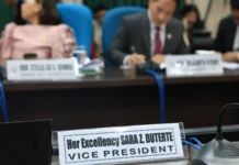 Budget sa OVP, gi-pinal na sa House Appropriations panel