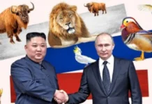 Leon itik ug Oso, nahimong regalo ni President Putin ngadto kang North Korean President Kim Jung Un