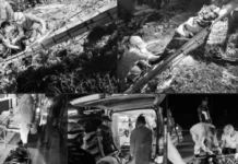 Upat patay, kapin sa 20 nasamdan human mahulog ang bus sa bung-aw sa Del Gallego, Camarines Sur
