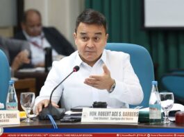 Kanhi Representante Ace Barbers, gibweltahan si VP Sara sa giingong dili masaysay nga bahandi