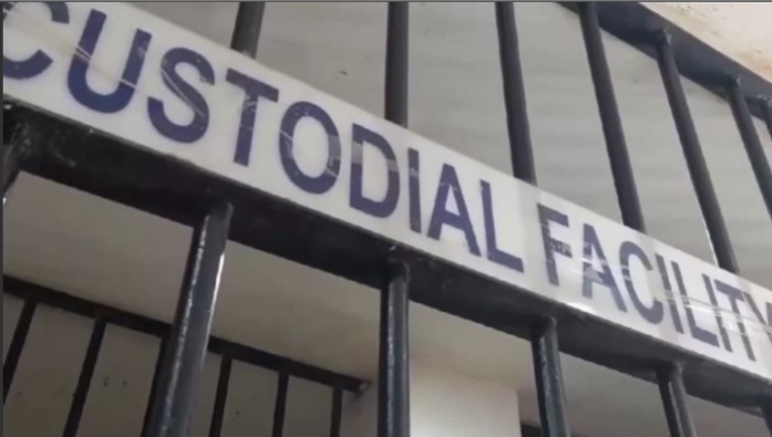 CUSTODIAL