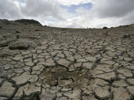 Mag-uuma sa Kabukiran sa Sugbo, nangayo ug tabang sa gobyerno sa pagpangandam batok sa El Niño