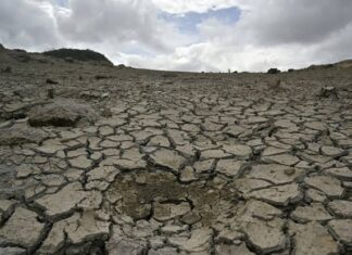 Mag-uuma sa Kabukiran sa Sugbo, nangayo ug tabang sa gobyerno sa pagpangandam batok sa El Niño