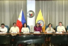 House prosecution panel, andam sa cross-examination kang Vice President Sara Duterte kon mobarog kini isip witness