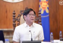 Marcos Jr., nanawagan sa mga mamumuhunan nga palig-onon ang Koneksyon sa Logistik sa nasud