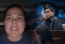 NBI Dir. Matibag, adunay tubag sa ‘nobody’ remarks ni VP Sara batok kaniya