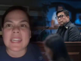 NBI Dir. Matibag, adunay tubag sa ‘nobody’ remarks ni VP Sara batok kaniya