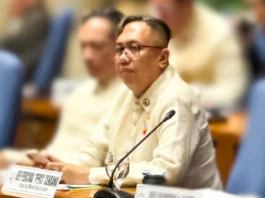 Pag-atras sa 3 ka impeachment articles, wala nagpasabot nga nakalingkawas na si VP Sara-Cendaña