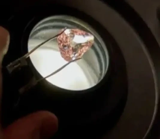 Usa ka talagsaong pink nga diamante nga gikawat halos 100 ka tuig na ang milabay, ipakita sa publiko sa France