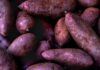Pilipinas ug US, mipirma og $34 milyon nga kasabutan aron mapalambo ang ube