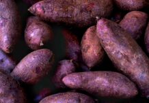 Pilipinas ug US, mipirma og $34 milyon nga kasabutan aron mapalambo ang ube