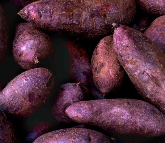 Pilipinas ug US, mipirma og $34 milyon nga kasabutan aron mapalambo ang ube