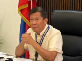 Archival, dili kombinsidong sa lokal nga polusyon ang hinungdan sa padayung nasinati nga bati nga kalidad sa hangin sa Metro Cebu