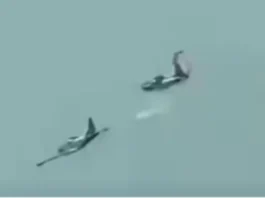 DND, naglunsad og imbestigasyon sa pagkamatay sa upat ka piloto sa Lipa, Batangas