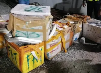 DVMF, giklaro nga walay operasyon sa dynamite fishing sa Dakbayan sa Sugbo
