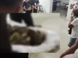 Mayor Archival, pahugtan ang background checking sa mga JO workers sa City Hall human malambigit ang pipila ka trabahante sa pagpatay kang Isaac Viernes
