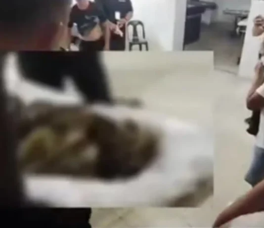Mayor Archival, pahugtan ang background checking sa mga JO workers sa City Hall human malambigit ang pipila ka trabahante sa pagpatay kang Isaac Viernes