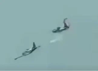 PAF, gihimakak nga karaan na ang mga eroplanong nalambigit sa aksidente sa Lipa, Batangas