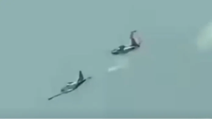 sf-260-training-aircraft