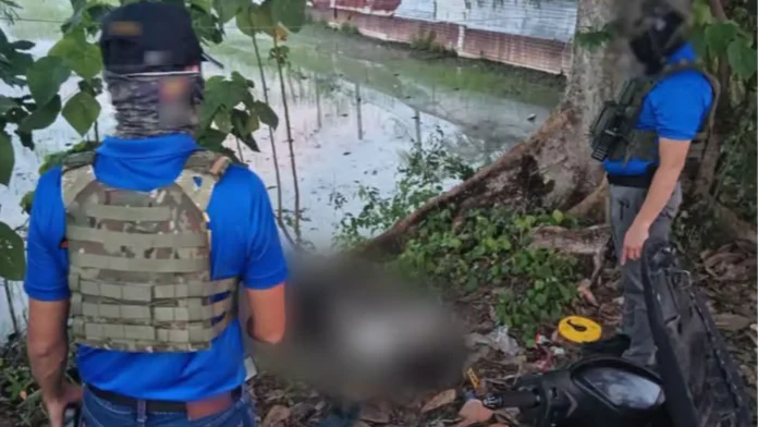 cidg-di