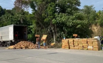 P17.55-M halaga ng hinihinalang smuggled cigarettes, nasabat sa Parang, MagNorte; driver arestado