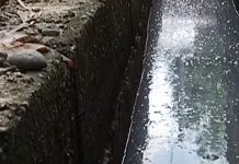 3 magkakapitbahay tinamaan ng dengue sa Calasiao, Pangasinan