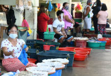 Resulta ng RT-PCR test sa ilang mga vendors at dealers sa Magsaysay Fish Market sa Dagupan City, lumabas na
